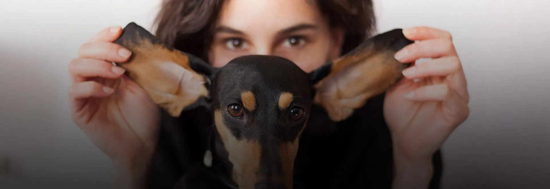 Kleiner braun-schwarzer Hund sitzt vor Frau