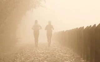 Zwei Joggerinnen, die auf einem laubbedeckten Weg am Waldesrand durch den Nebel joggen.