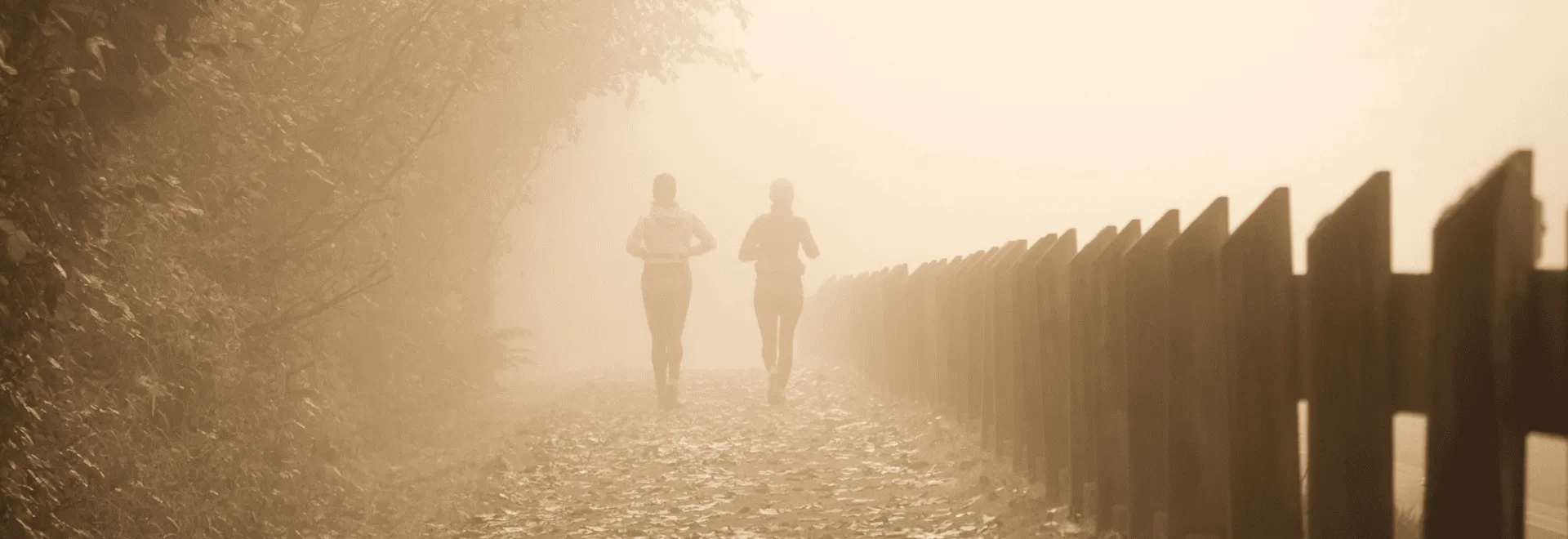 Zwei Joggerinnen, die auf einem laubbedeckten Weg am Waldesrand durch den Nebel joggen.